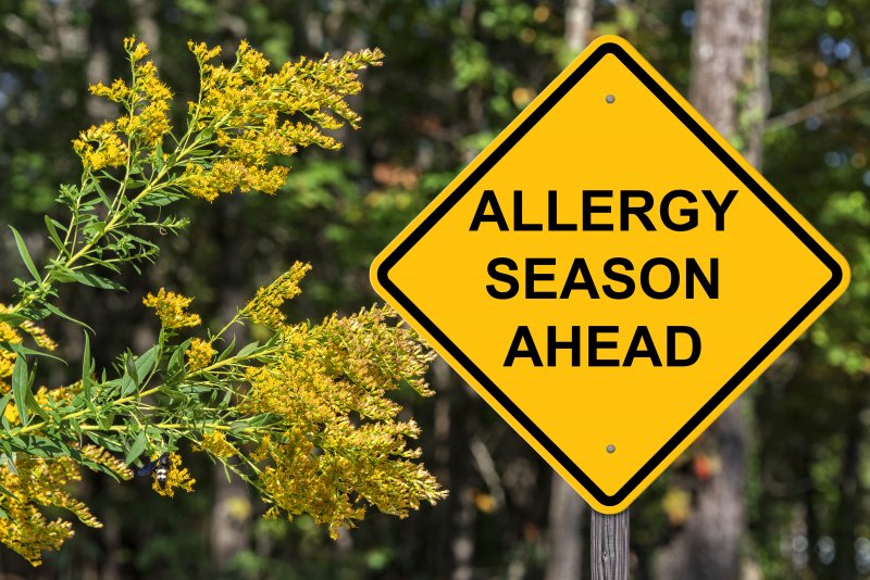 Yellow warning sign with message, “Allergy Season Ahead”